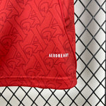 Arsenal 2025-2026 Home