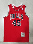 Chicago Bulls Jordan #45